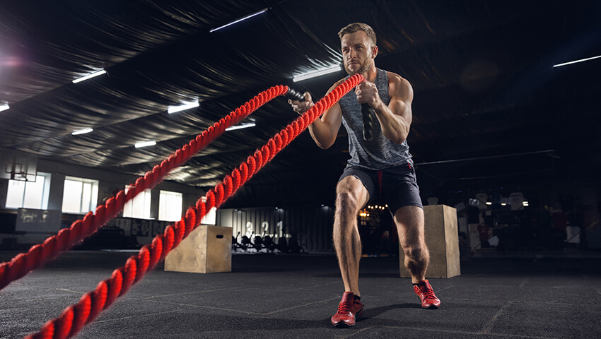 Plant-Based Protein Powder Market Booms in 2025 with 12.5% CAGR Projected